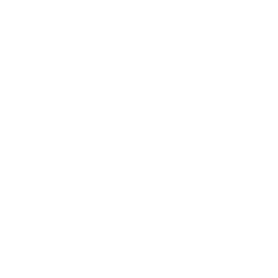 ce logo Alesund